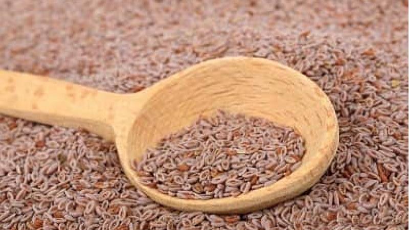 اسفرزه  برای چی خوب است + طرز استفاده و عوارض