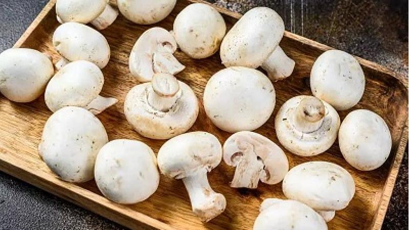 ترفندهایی برای نگهداری قارچ در یخچال