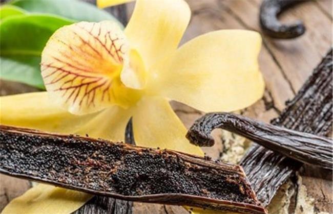 خواص وانیل برای پوست و مو چیست