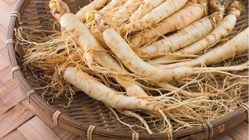 جنسینگ اصل را از کجا بخریم