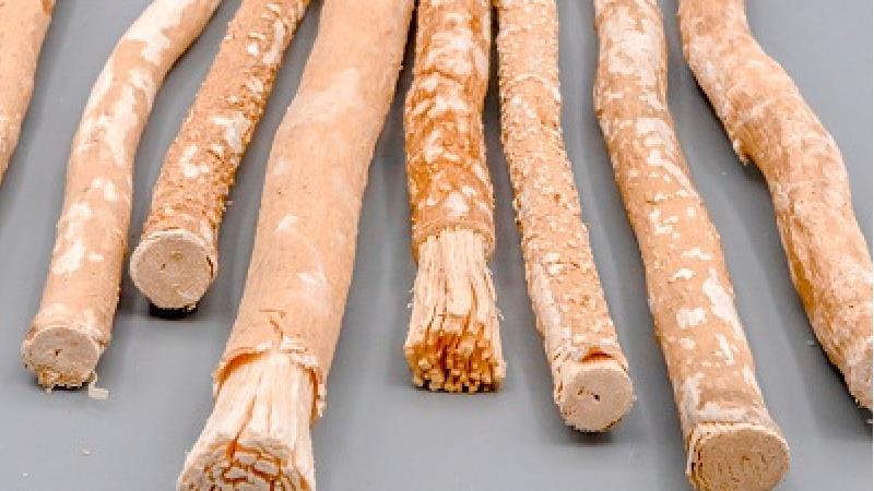 طرز استفاده و فواید و مضرات چوب مسواک یا اراک