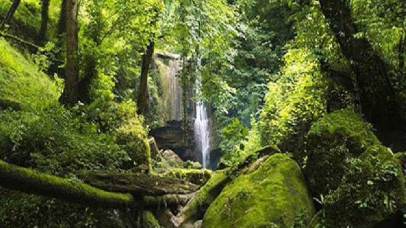 چگونه به رودخانه و آبشار ترز در سوادکوه مازندران برویم