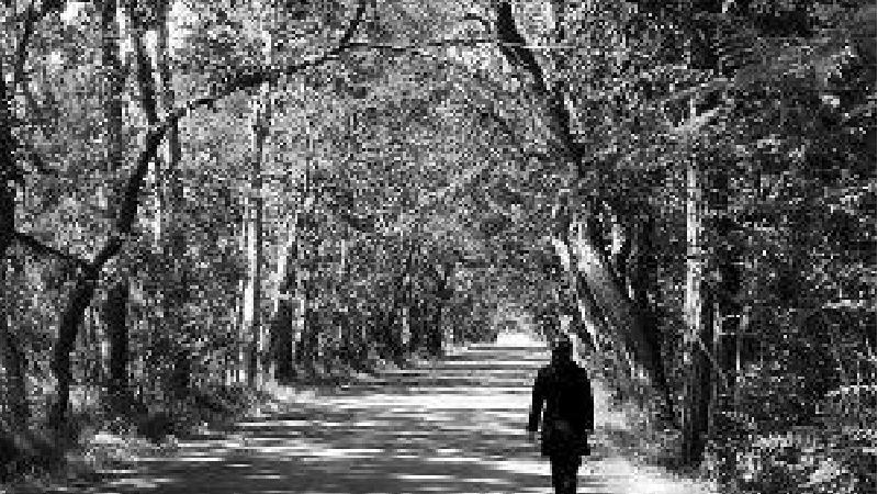 آزار دختر جوان توسط رمال شیطان صفت