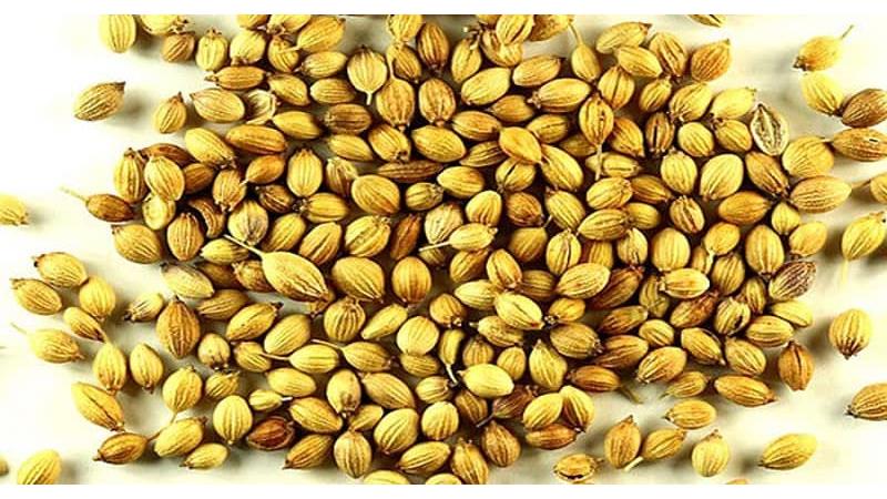 ترنجبین برای چی خوب است؛ از یبوست تا پوست و مو