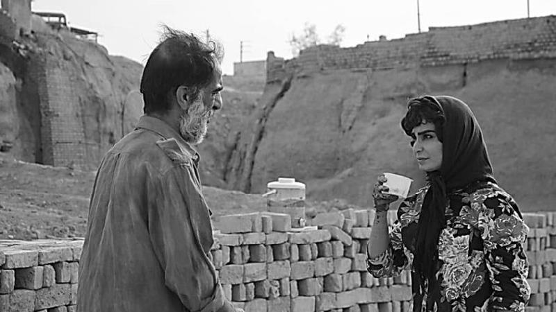 معرفی کامل فیلم دشت خاموش؛ خلاصه داستان، بازیگران و نقد