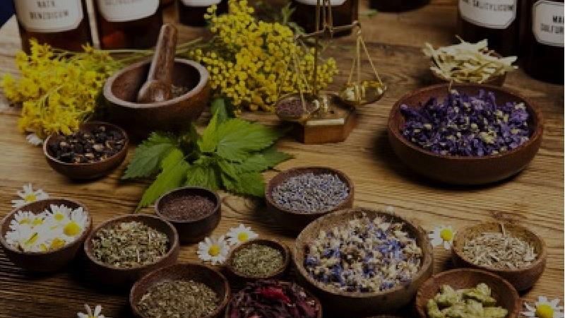 معرفی مسکن های گیاهی برای انواع درد؛ از دندان تا سردرد