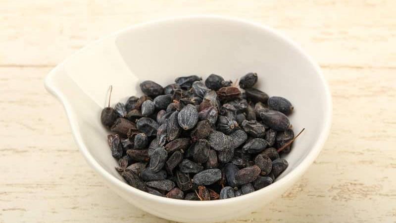 زرشک سیاه برای چی خوب است؛ از کبد چرب تا کم خونی