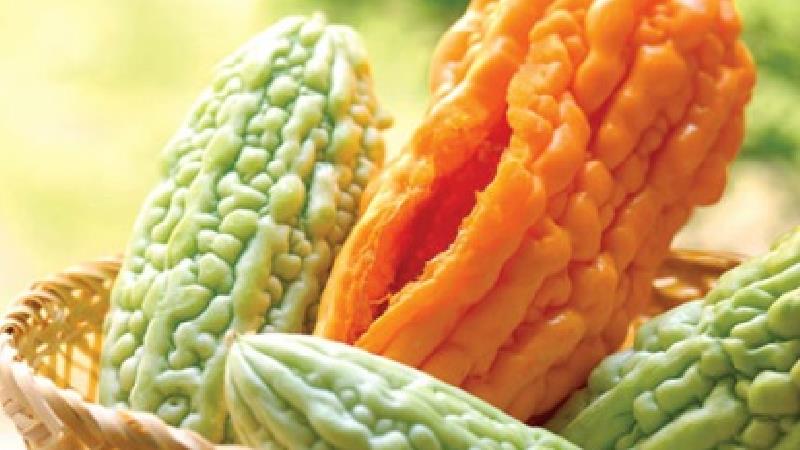 میوه کارلا یا خربزه تلخ چیست؛ خواص و عوارض