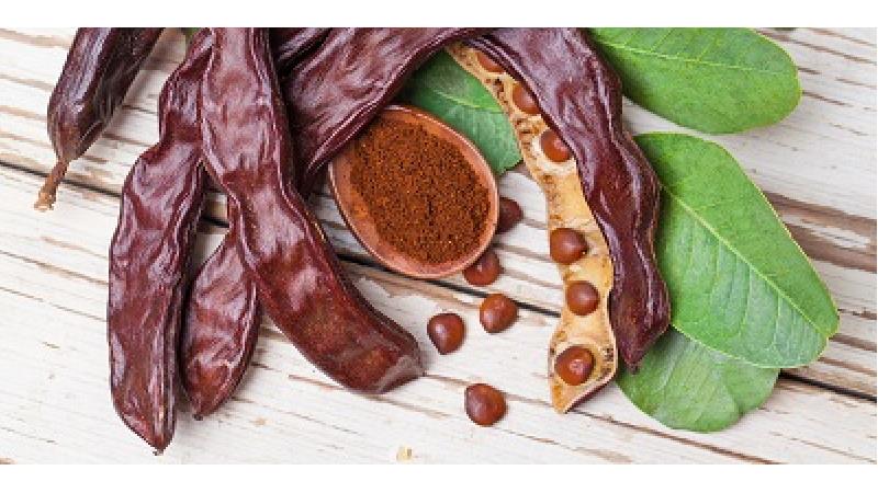 گیاه خرنوب چیست و برای چی خوب است