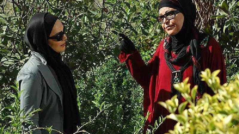 تعداد قسمت های سریال سایه روشن + ساعت پخش و تکرار از آی فیلم