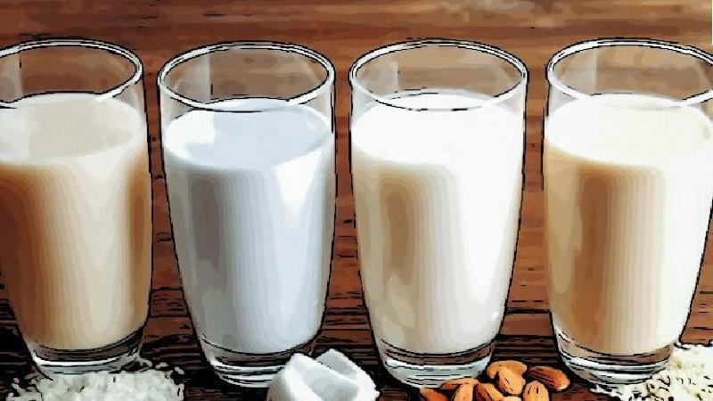 شیر گیاهی چیست و چه فوایدی دارد