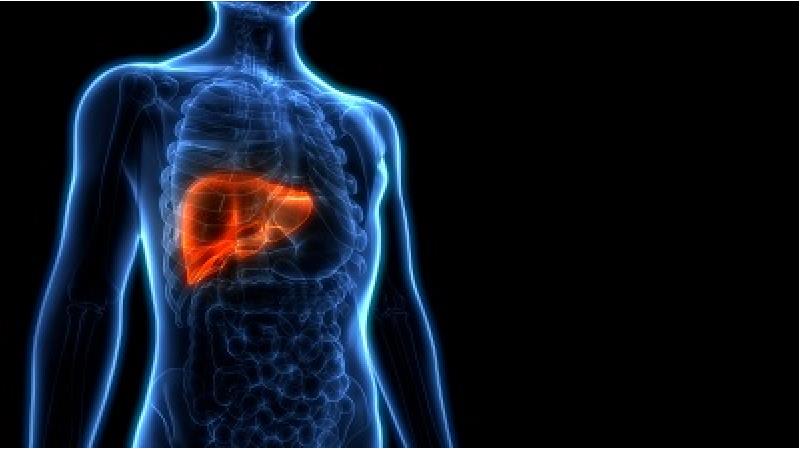 از کجا بفهمیم کبد در حال چرب شدن است