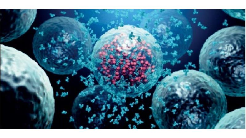 فلورونا چیست و خطر آن چقدر جدی است