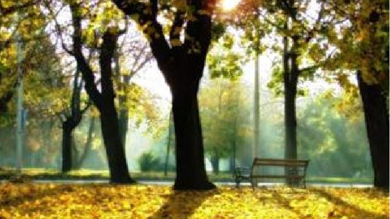 چرا در زندگی احساس آرامش نمی کنیم