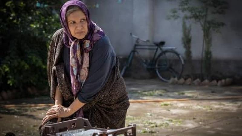 معرفی فیلم شادروان؛ خلاصه داستان و بازیگران