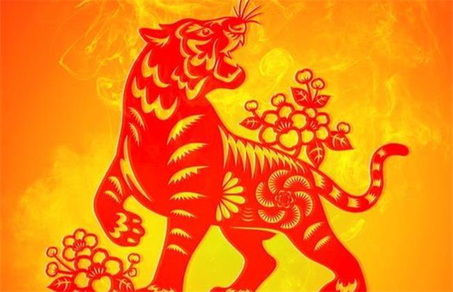 سال ببر چگونه سالی است و چه ویژگی هایی دارد