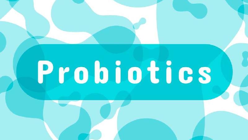 پروبیوتیک طبیعی در چه چیزهایی وجود دارد