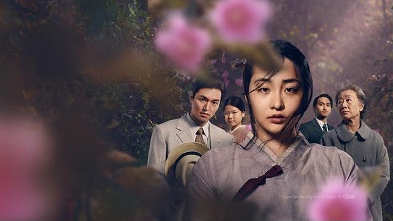 معرفی کامل و نقد سریال پاچینکو؛ خلاصه داستان و تعداد قسمت ها