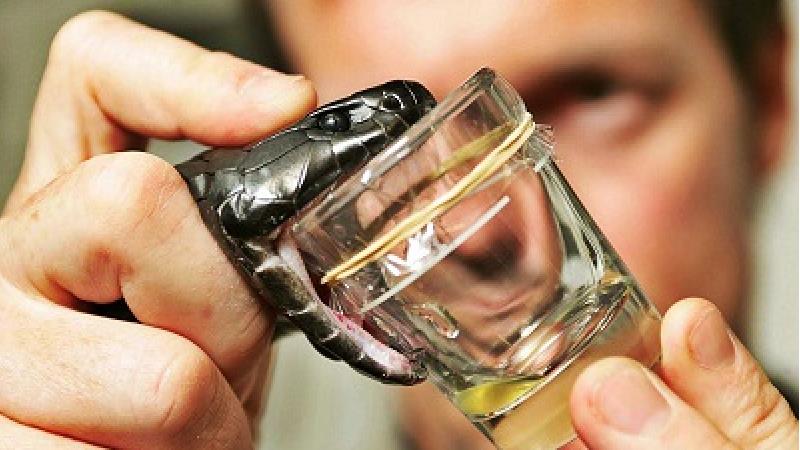 زهرمار چه کاربردهایی دارد