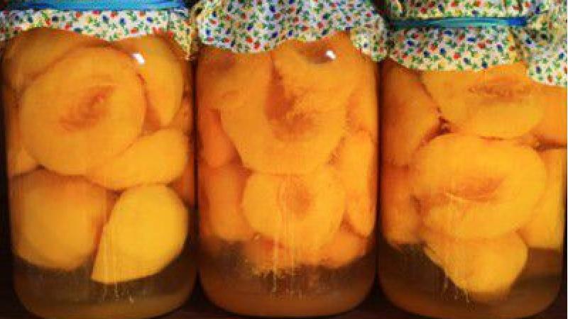 طرز تهیه 2 نوع کمپوت زردآلو و گیلاس در خانه