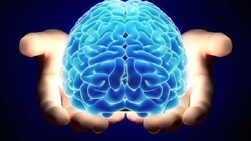 چگونه مغزمان را فعال و تقویت کنیم؛ تمرین های خانگی