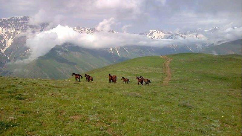 برای سفر یک روزه کجای جاده چالوس برویم؛ معرفی روستای دلیر