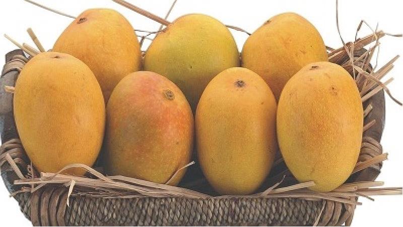 با انبه چی می شود درست کرد