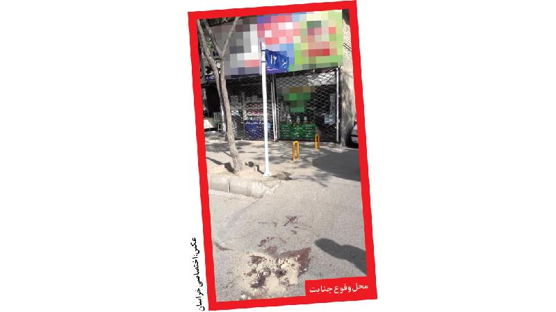 قتل فجیع پرستار جوان با 25 ضربه چاقو