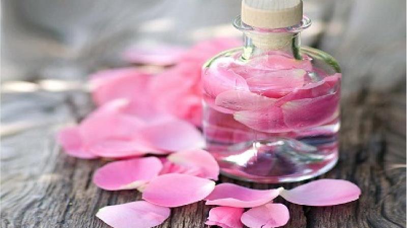 گلاب در طب سنتی چه خاصیت هایی دارد