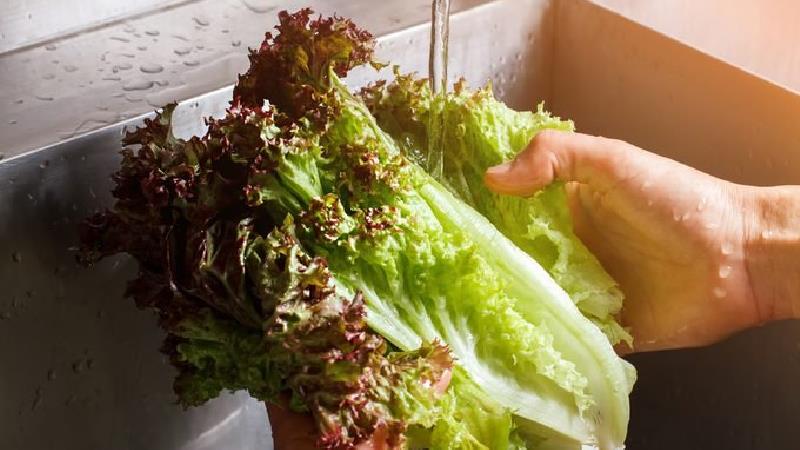 چکار کنیم کاهو در یخچال خراب نشود