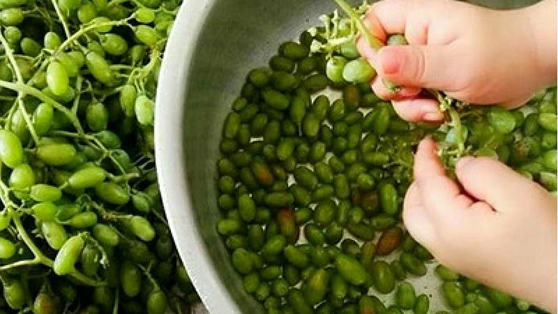 رب غوره چطور درست می شود؛ موارد استفاده