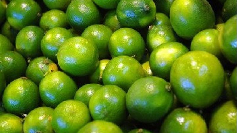 ترشی لیمو ترش را چطور درست می کنند