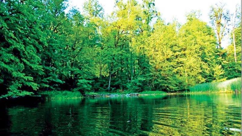 راهنمای سفر به دریاچه فراخین؛ منطقه بکر نوشهر