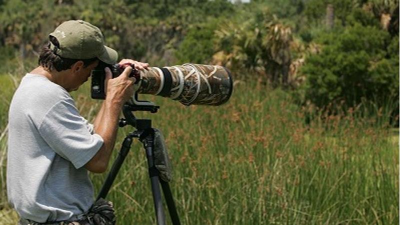 حیرت انگیزترین عکس ها از حیات وحش، برگزیدگان سال 2022