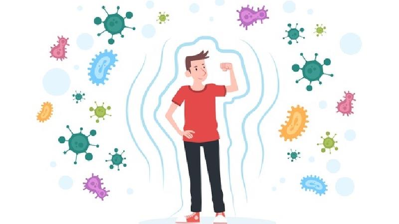 چه چیزهایی سیستم ایمنی بدن را قوی می کند