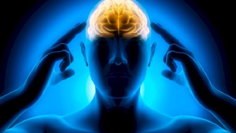 چگونه تمرکز خود را بالا ببریم