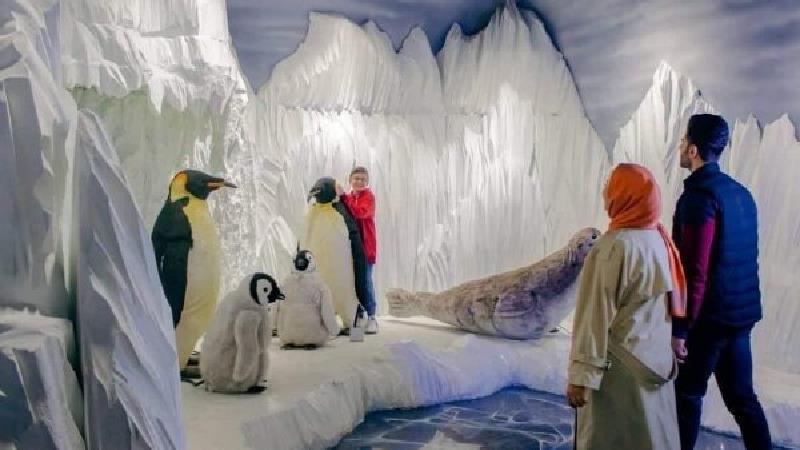 اقیانوس پارک تهران کجاست و چه دیدنی هایی دارد