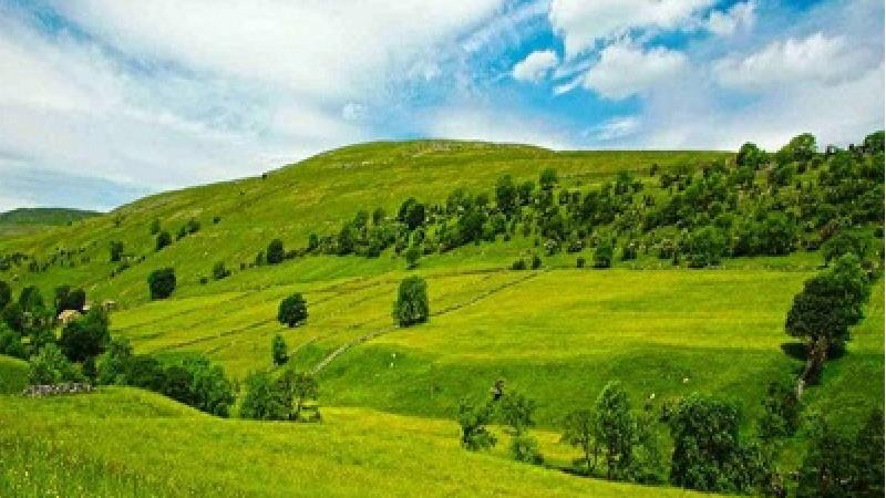 راهنمای سفر به دشت ارژن استان فارس