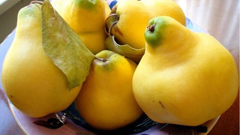 میوه به را چطور خشک کنیم