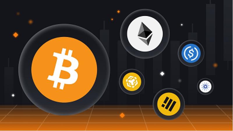 دامیننس بیت کوین چیست و از کجا آن را بررسی کنیم