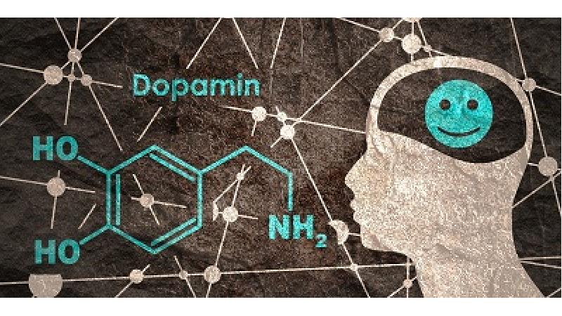 هورمون دوپامین چیست و چگونه آن را افزایش بدهیم
