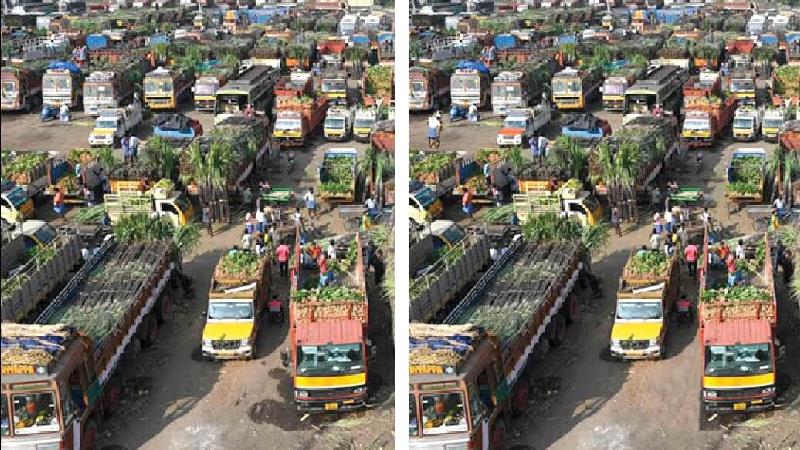 معمای تصویری؛ اختلاف 2 عکس را پیدا کنید