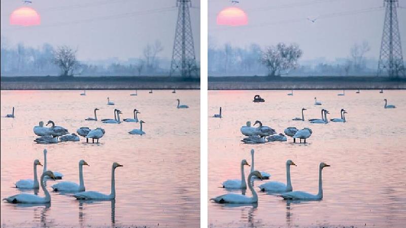 معمای تصویری؛ تفاوت 2 عکس از یک منظره