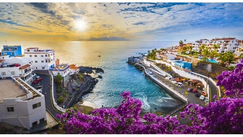 دلیل نامگذاری جزایر قناری چیست؟ دانستنی های جالب