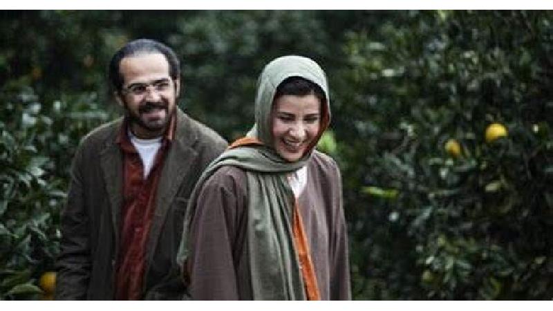 خلاصه داستان، نقد و بازیگران فیلم جنگل پرتقال