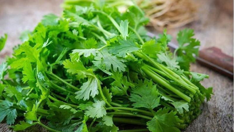 سبزی مناسب برای کرفس، قورمه، کوفته و آش رشته