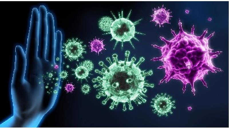 علایم ضعف سیستم ایمنی بدن چیست