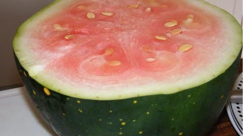 با هندوانه کال و بی مزه چه کار کنیم