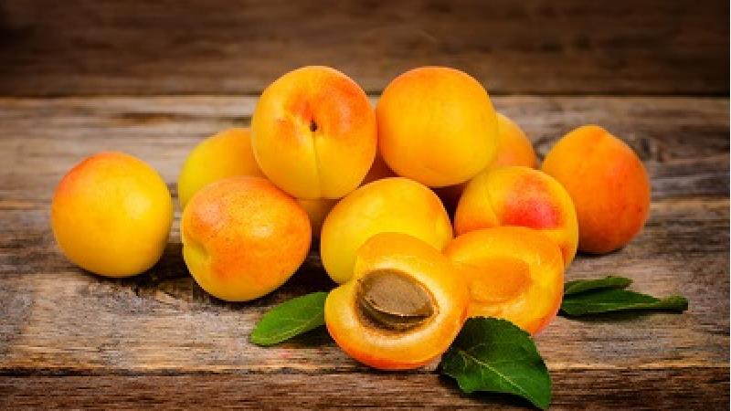 طرز تهیه دسر میوه ای مجلسی با زردآلو