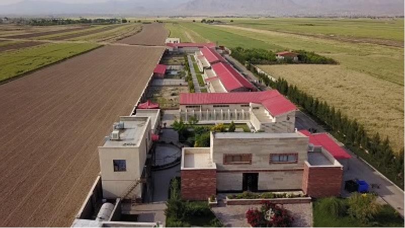 بزرگترین پرورش دهنده نژادهای سگ در ایران